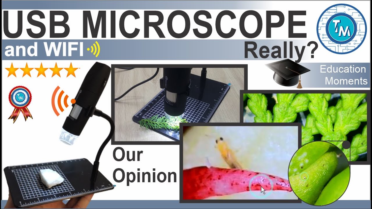 Digital Microscope – Enrich your world’s exploration!